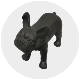Animal Mannequins